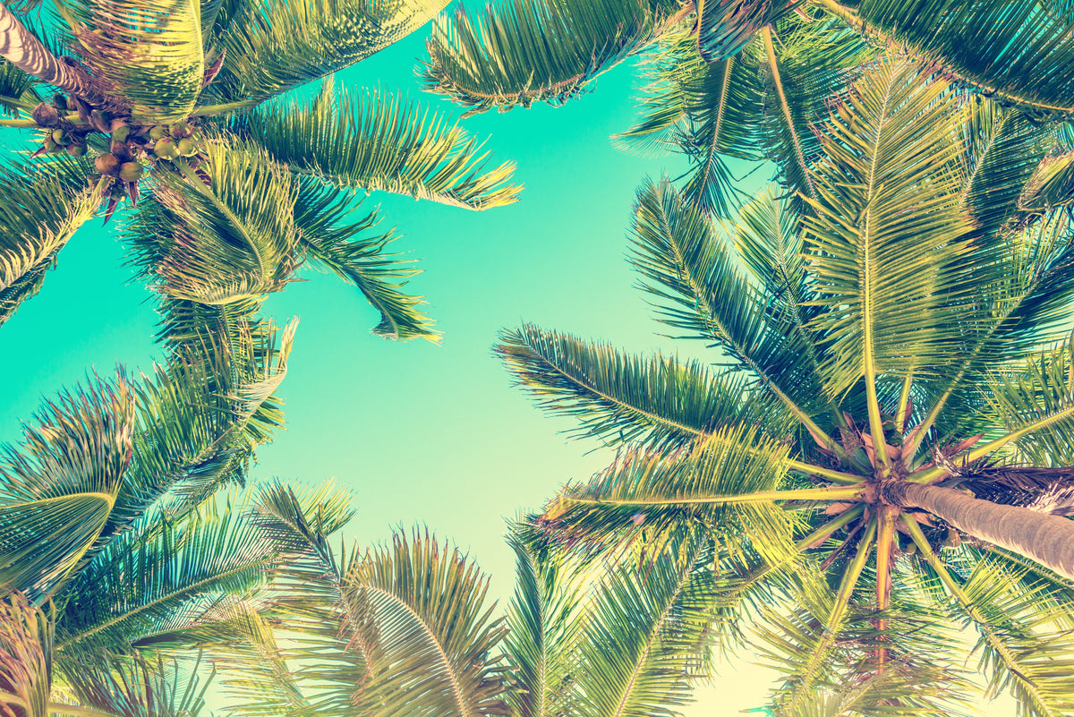 Summer Is Almost Here