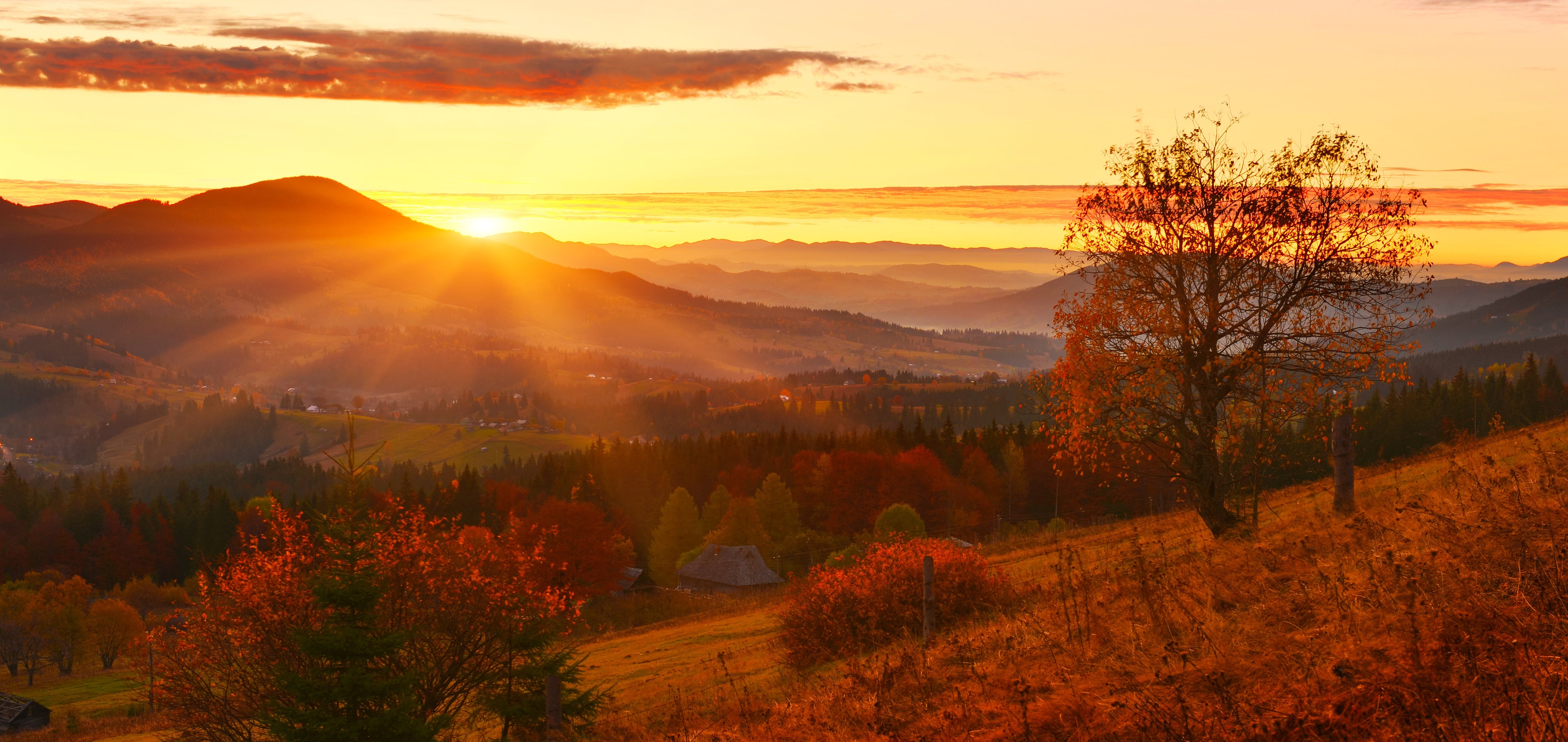 Autumn Mornings