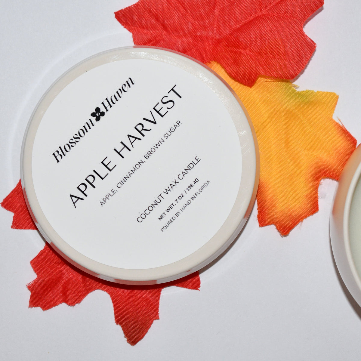 An open white candle jar labeled 'Blossom Haven Apple Harvest' sits beside its lid, styled with red and orange autumn leaves on a white background.